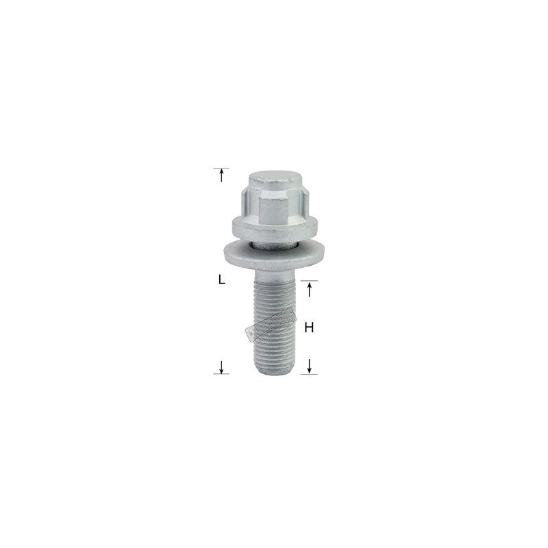 Adjustable 147004