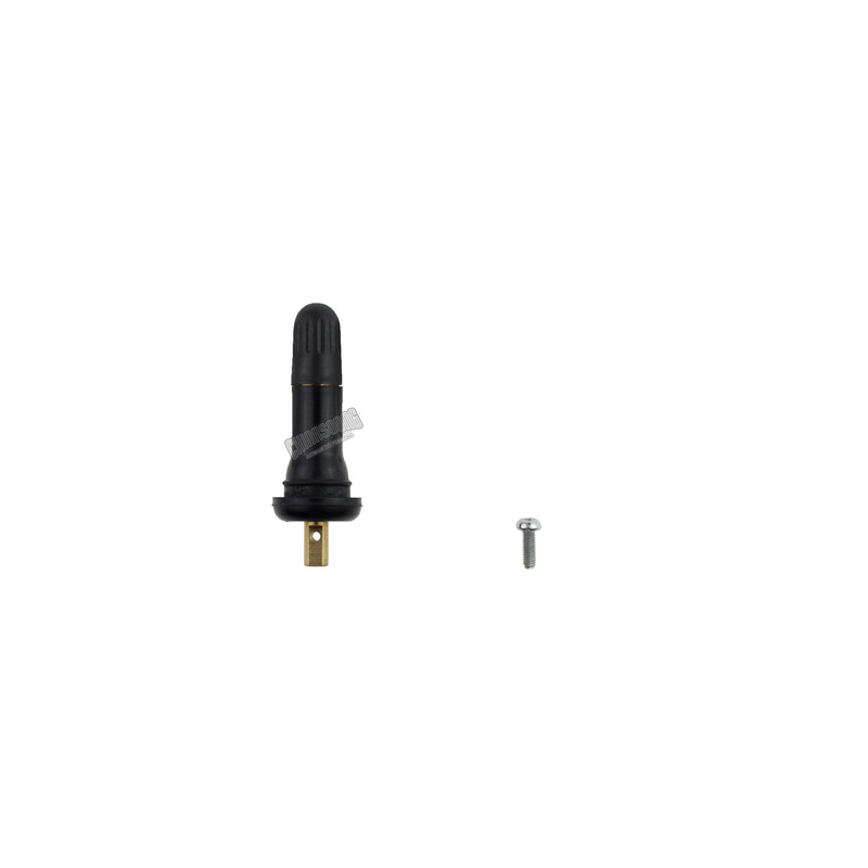 TPMS