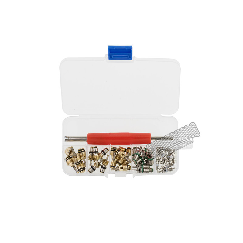 Valve Core Set
